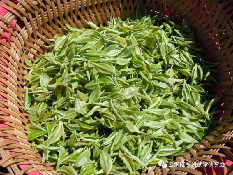 昆明茶叶